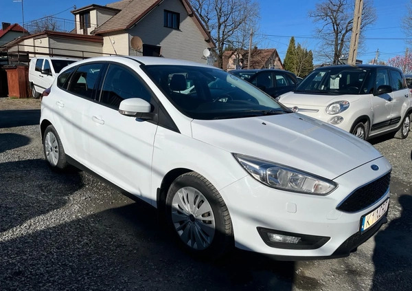 Ford Focus cena 28700 przebieg: 217830, rok produkcji 2014 z Sulechów małe 352